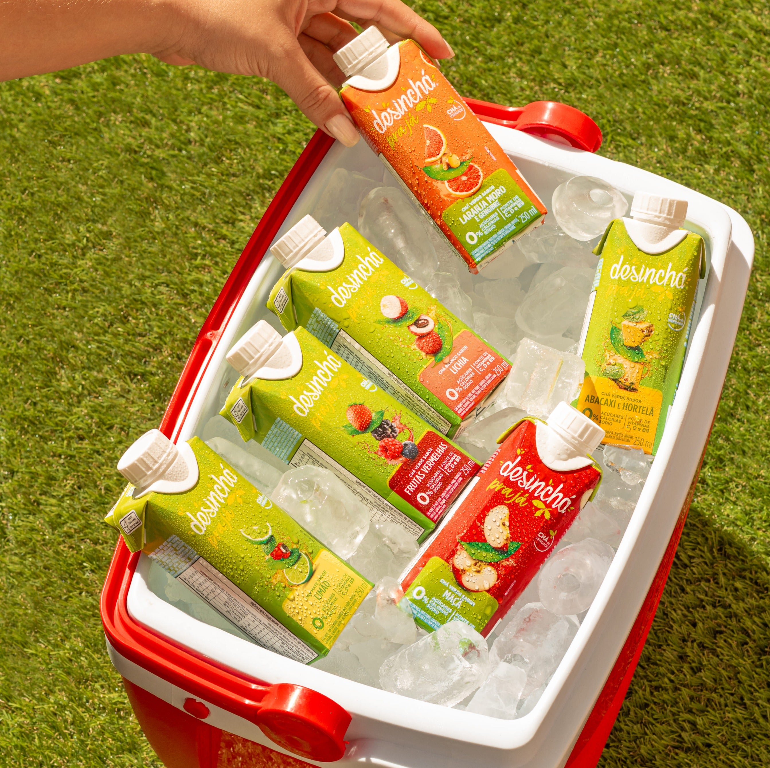 Kit Desinchá Pra Já Mini (6 unidades de 250ml)